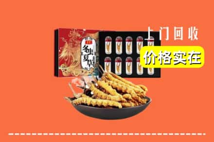 佳木斯同江回收冬虫夏草