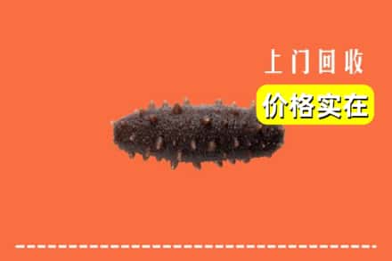 佳木斯同江回收海参